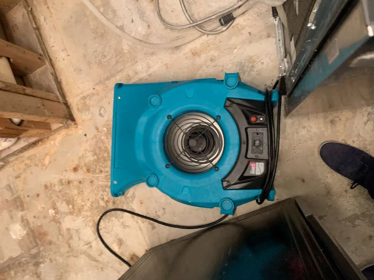 Air mover drying equipment for Mold Remediation & Removal in Greenwood